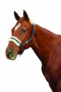 Roma Merino Sheepskin Headcollar R.E. Farm Horse Wear Tack